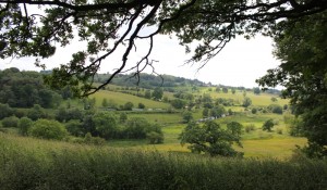 Reiki near Leek