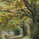 Coventry canal towpath