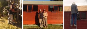 the little reiki shed